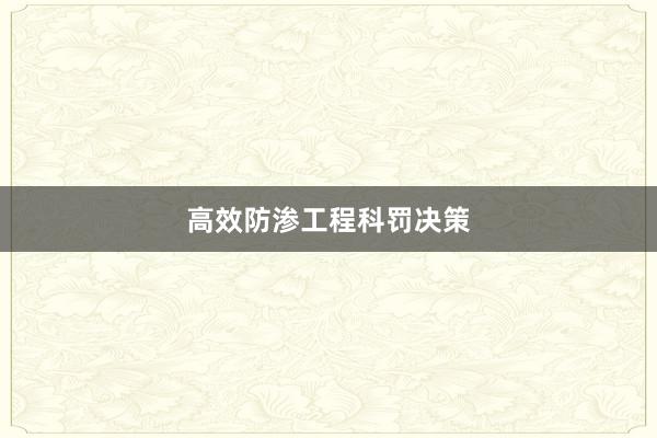 高效防渗工程科罚决策